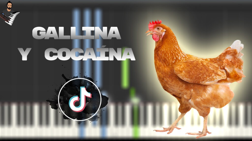 Gallina y Cocaína