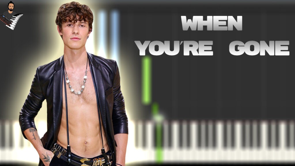 Shawn Mendes - When You're Gone