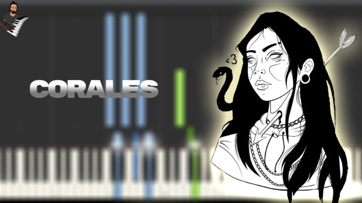 Babi - Corales