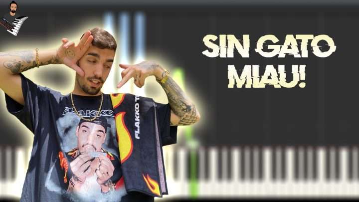 Rels B - Sin Gato (MIAU!)