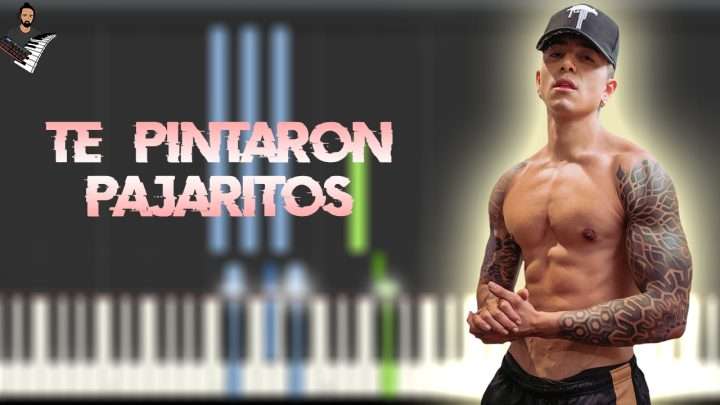 Andy Rivera - Te Pintaron Pajaritos
