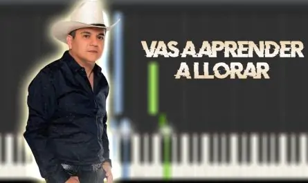 El Potro De Sinaloa - Vas a Aprender a Llorar
