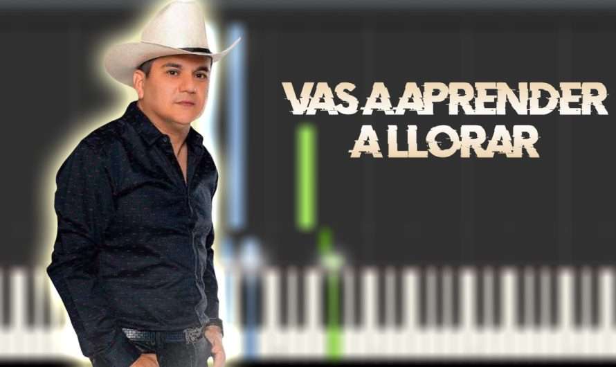 El Potro De Sinaloa – Vas a Aprender a Llorar