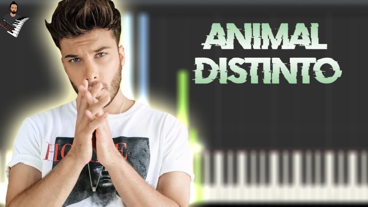 Blas Cantó - Animal distinto