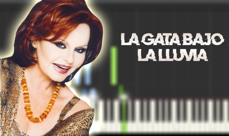 Rocío Durcal – La gata bajo la lluvia