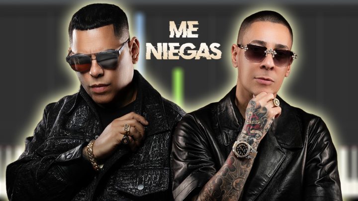 Baby Rasta y Gringo - Me Niegas