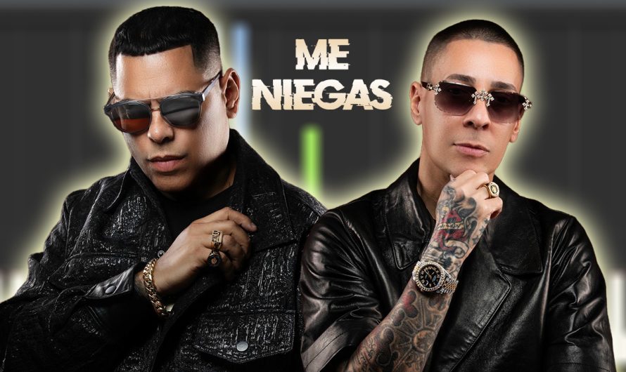 Baby Rasta y Gringo – Me Niegas