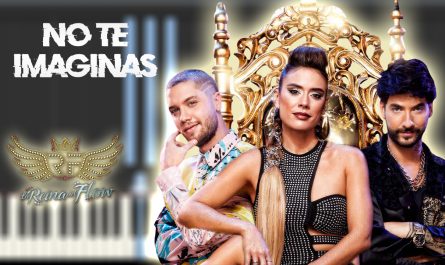 Pez Koi - No te imaginas