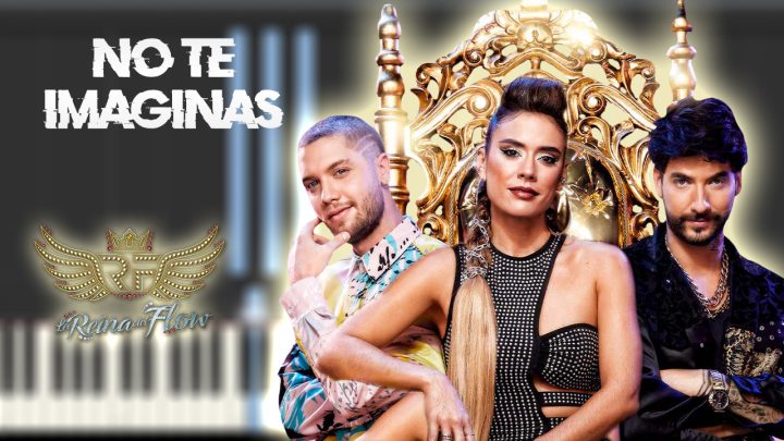 Pez Koi - No te imaginas