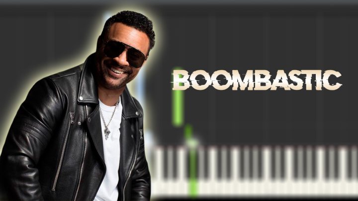 Shaggy - Boombastic